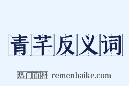 青芊反义词是什么意思的图片